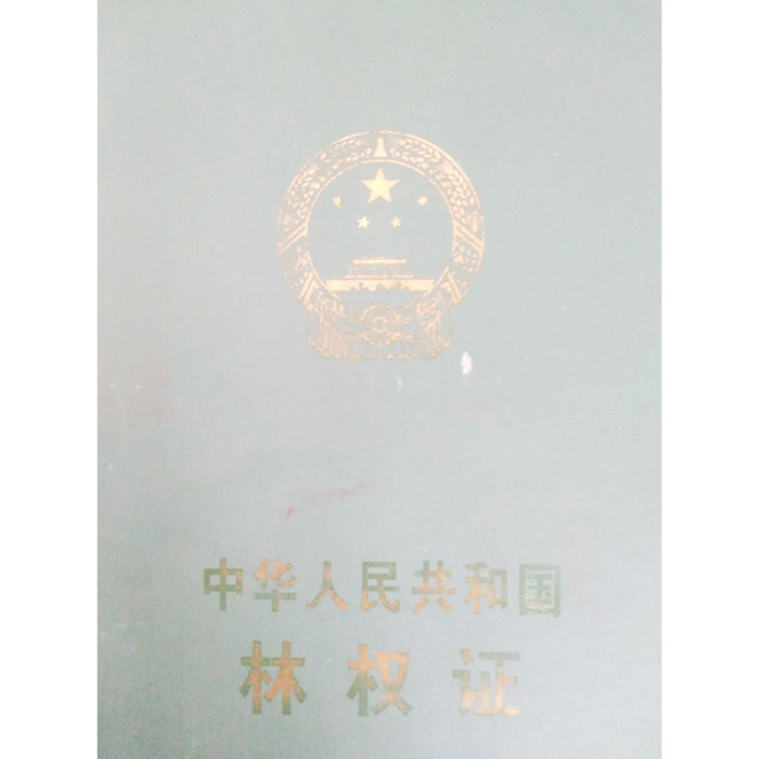 林权证